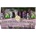Nesti Dante ENCHANTING FOREST SOAP Сапун унисекс 250gr