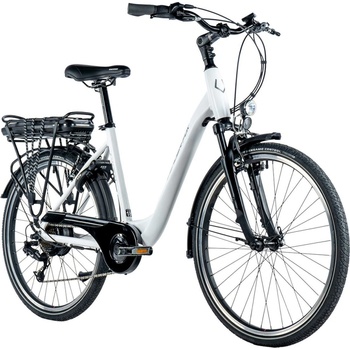 Leader Fox Latona 2024