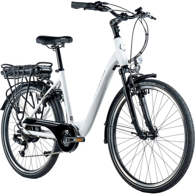 Leader Fox Latona 2024