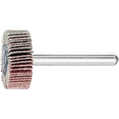 PFERD TOOLS 44405086 Vějířový brusný kotouč Průměr 25 mm 10 ks