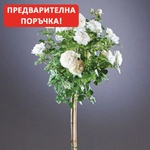 Dorieux® Щамбова Роза Annapurna®