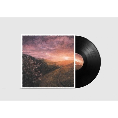 Sam Sweeney & Grace Smith - Morning Of May LP
