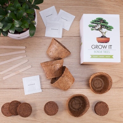 Deminas | Grow It - Bonsai