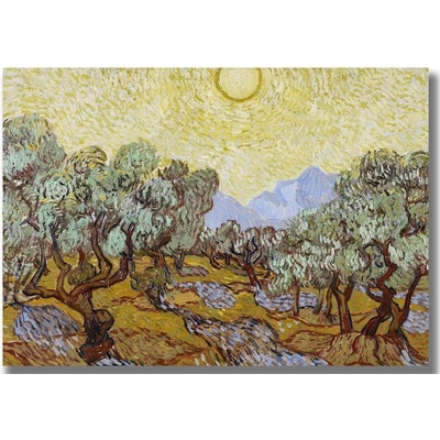 Wallity Olive Trees – Vincent van Gogh obraz barevná