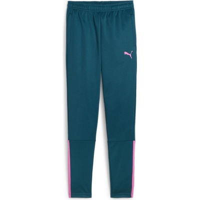 Puma teamLIGA Training Pants Jr zelená