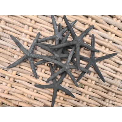Dijk Natural Collection Starfish černá 10 ks