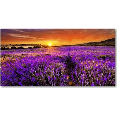 Fotoobraz na skle pole levanduľa 100x50 cm