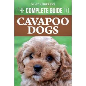 Complete Guide to Cavapoo Dogs | David Anderson (ISBN: 9781985723092)