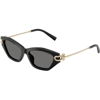 Tiffany & Co Tiffany & Co. TF4231U 800181 (TF4231U 800181)
