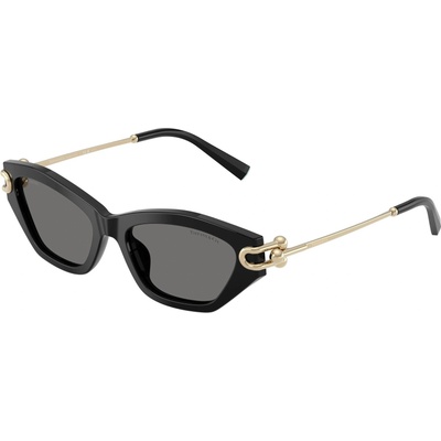 Tiffany & Co Tiffany & Co. TF4231U 800181 (TF4231U 800181)