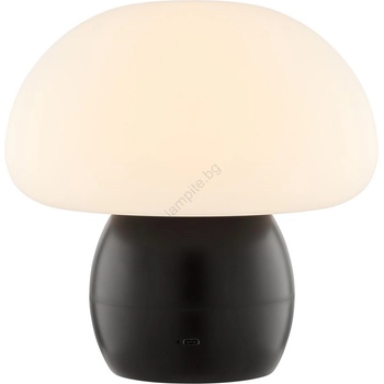 Brilliant - Регулируема LED акумулаторна настолна лампа DUPIS LED/2W/5V 2700K черна (BI0320)