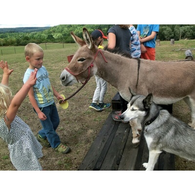 Rodinná exkurze na farmě