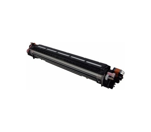 Ricoh D2423094 - originální