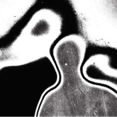 Universal pressure - Lunacy LP