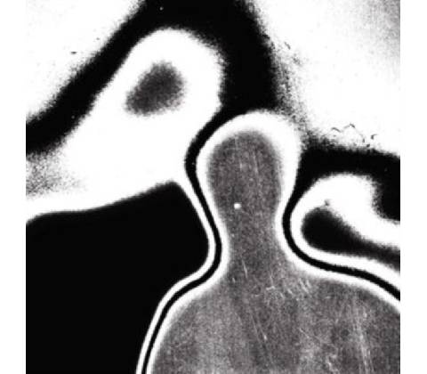 Universal pressure - Lunacy LP