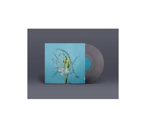 Fergus McCreadie - Stream LP