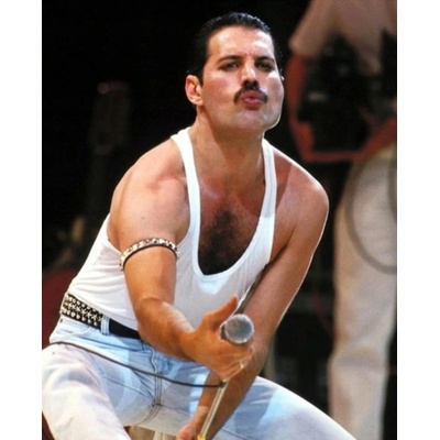Norimpex - Puzzle Diamant painting: Freddie Mercury 30x40 cm - 1 - 39 piese