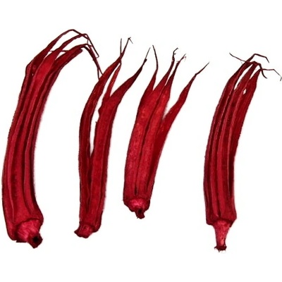 Lady finger - červený, cena za 20ks