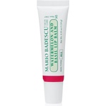 Mario Badescu Watermelon and Basil Lip Balm хидратиращ балсам за устни 10 гр