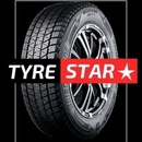 Bridgestone Blizzak DM-V3 275/55 R20 117T