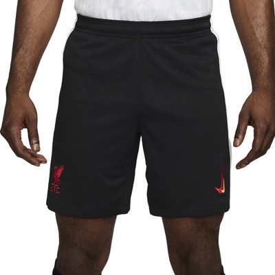 Шорти Nike LFC M NK DF SHORT STAD 3R 2024/25 fq2059-010 Размер L