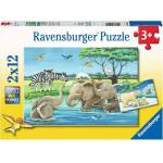 Ravensburger - Puzzle 2x12 Baby animals from all over the world - 1 - 39 piese