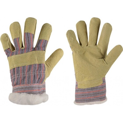 Canis CXS ZORO WINTER