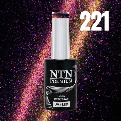 NTN Gél lak premium Magnetic Cat Eye 6D 221 5 g