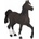 Papo Con of the Arabian breed