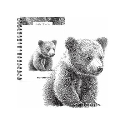 Skicovací notes B5 SP 60l čistý Medvěd