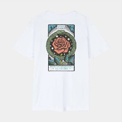 Santa Cruz Delfino Eternal White