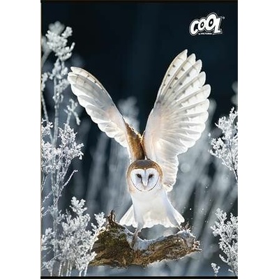 COOL BY VICTORIA Sešit Wise Wings mix motivů A4 čistý