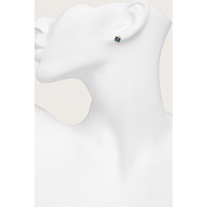 Lauren Ralph Lauren обици от метал (14G01567)