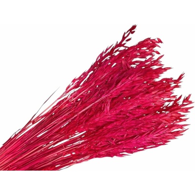 Sušený aranžérsky ovos - klasy 150g - purpurové