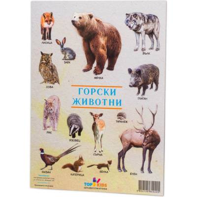 Top Kids Образователно табло Top Kids - Горски животни (3802105844445)