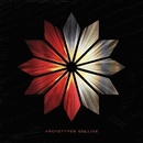 Archetypes Collide - ARCHETYPES COLLIDE Vinyl