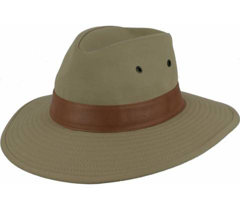 Scippis Coro coyote