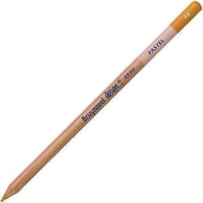 Royal Talens Design Pastel Пастелен молив 48 Brown Ochre 1 бр (884048K)