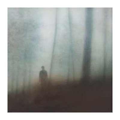 Farewell to All We Know Matt Elliott LP