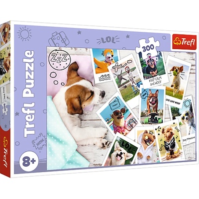 Trefl Puzzle 300 - Снимки от почивката (23003)