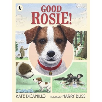 Good Rosie! kniha v pevné vazbě první čtení v angličtině