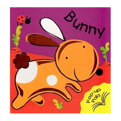 Bunny - Pop Up Book