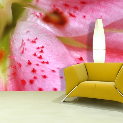 Tapeta SABLIO Květ tulipánu, rozměry 336x220 cm