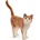 Schleich Котка (13836)