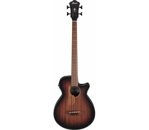 Ibanez AEGB24E