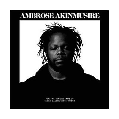 AMBROSE AKINMUSIRE - ON THE TENDER SPOT OF CD