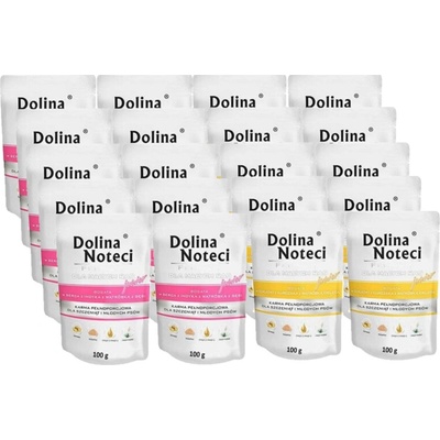 Dolina Noteci Premium malých plemen Junior kuřecí příchutě 20 x 100 g