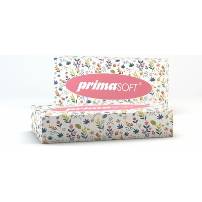 Prima Soft papírové kapesníky 2-vrstvé 100 ks – Zboží Dáma