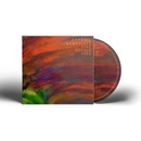 Pine Needle Fire - Randall Bramblett CD
