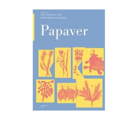 Papaver - Dora Dutková